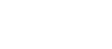 Bold Logo